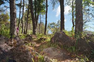 BIB: 
                            <button type="button" onclick="openModal(18941093)" class="btn btn-primary btn-sm float-right btn-popup" data-toggle="modal" data-target=".modal-high-quality">
                        <i class="fas fa-shopping-cart"></i> Add to Cart
                    </button>
                                            <button type="button" onclick="isThisMe(18941093, true)" class="btn btn-success btn-sm float-right btn-popup btn-isme hidden" data-toggle="tooltip" data-placement="bottom" title="นี่คือรูปของคุณใช่ไหม คลิกที่นี่เพื่อเอาเข้าอัลบั้ม">
                        <i class="fas fa-plus"></i> Add to album
                    </button>
                    <button type="button" onclick="isThisMe(18941093, false)" class="btn btn-warning btn-sm float-right btn-popup btn-isnotme hidden">
                        <i class="fas fa-ban"></i> Remove from album
                    </button>